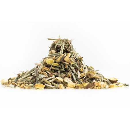 Fresh Ginger | Kofeiinittomat teet ja yrtit