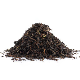 Castleton S.F.T.G.F.O.P.1