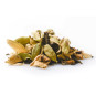 Chai Nepal Masala teabags x 100 pcs